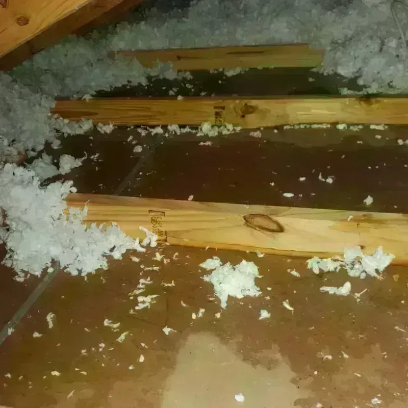 Attic Water Damage in Eidson Road, TX